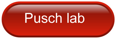 Pusch lab - homepage