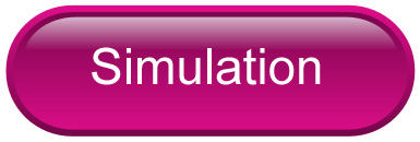 Simulation